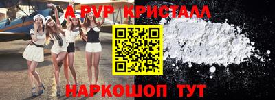 стафф Новокубанск