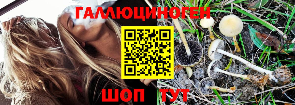 Псков  Псилоцибиновые грибы Magic Shrooms  Вход с VPN 